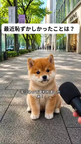 犬猫総合製薬株式会社のTikTok投稿