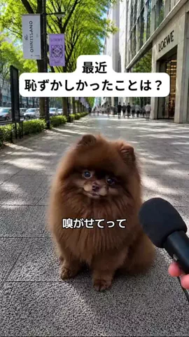 犬猫総合製薬株式会社のTikTok投稿