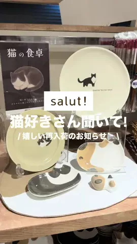 カナ | お財布に優しい便利アイテムガイド👛✨のTikTok投稿
