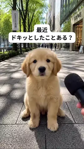 犬猫総合製薬株式会社のTikTok投稿