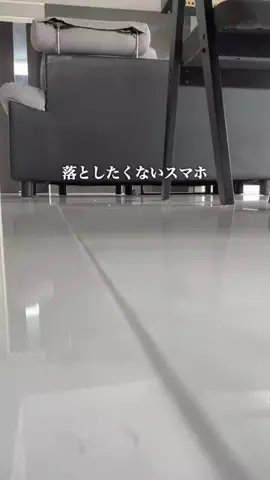 わんさんのTikTok投稿