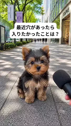 犬猫総合製薬株式会社のTikTok投稿
