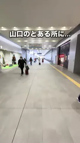 らう|山口グルメのTikTok投稿