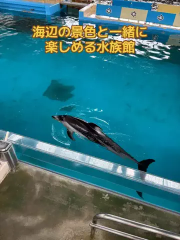 おとけしきのTikTok投稿