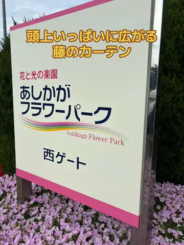 おとけしきのTikTok投稿
