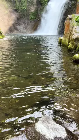 おとけしきのTikTok投稿