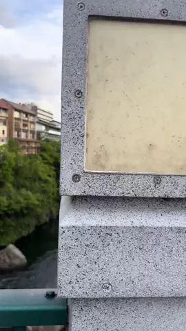おとけしきのTikTok投稿