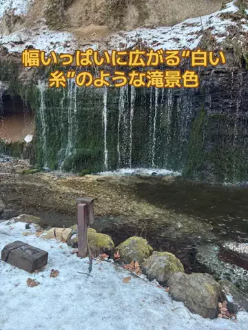 おとけしきのTikTok投稿