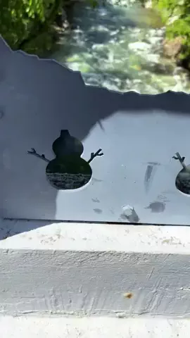 おとけしきのTikTok投稿