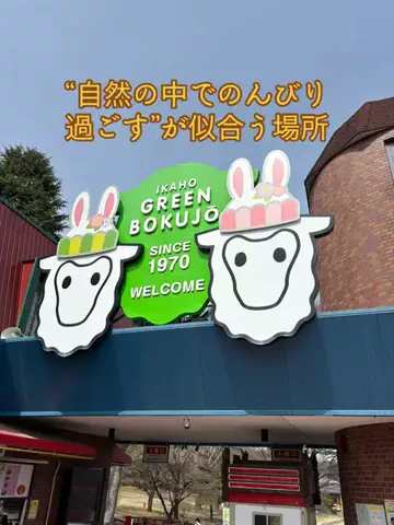 おとけしきのTikTok投稿