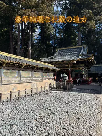 おとけしきのTikTok投稿