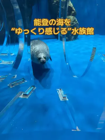 おとけしきのTikTok投稿