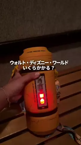トンちゃん🐷ひとり女子旅のTikTok投稿