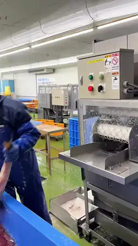 HAMONI JAPANのTikTok投稿