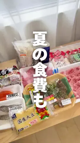 なみ | ドケチ夫に捧ぐ垢抜けプチプラDIYのTikTok投稿