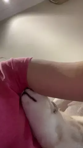 miihi🍓のTikTok投稿