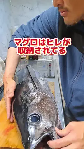 広島たにさんのぼれやびゃー動画のTikTok投稿
