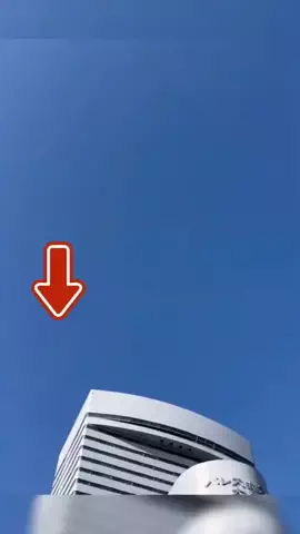 MiMiのTikTok投稿