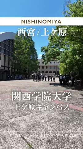 nishinomiya_lemonのTikTok投稿