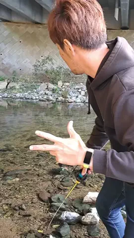 広島たにさんのぼれやびゃー動画のTikTok投稿