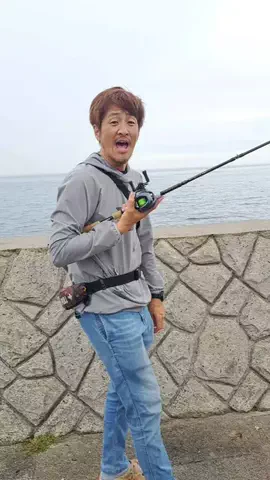広島たにさんのぼれやびゃー動画のTikTok投稿