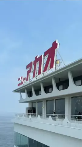 東京いいねちゃん👵🏻🤍のTikTok投稿
