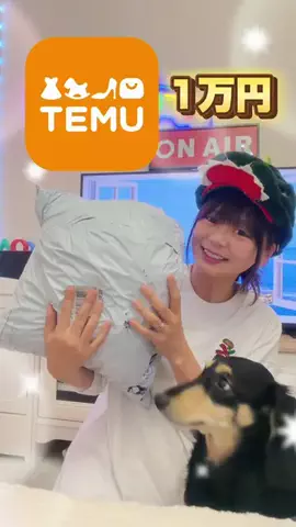 あたろー/ATARO🦖🥚のTikTok投稿