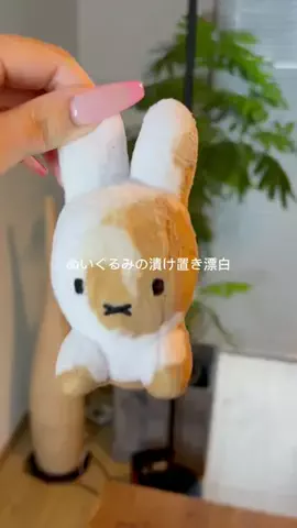 mii/美肌作りのTikTok投稿