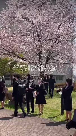 たまご肌姫のTikTok投稿