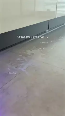 しば夫婦｜ふたり暮らしのベストバイのTikTok投稿