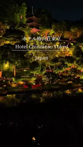 初音美優華（みゆか）のTikTok投稿
