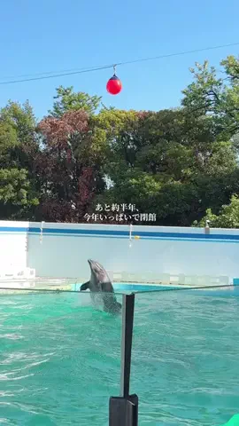 みぽ🌞心震える旅の記録のTikTok投稿