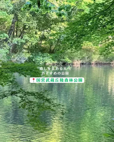 みぽ🌞心震える旅の記録のTikTok投稿