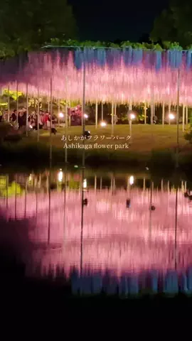 みぽ🌞心震える旅の記録のTikTok投稿
