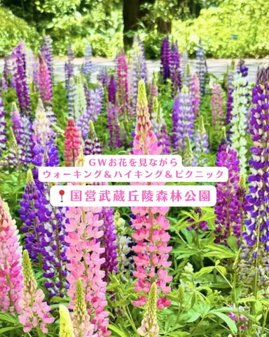 みぽ🌞心震える旅の記録のTikTok投稿