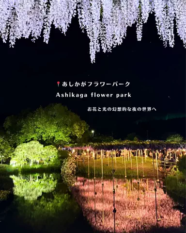 みぽ🌞心震える旅の記録のTikTok投稿