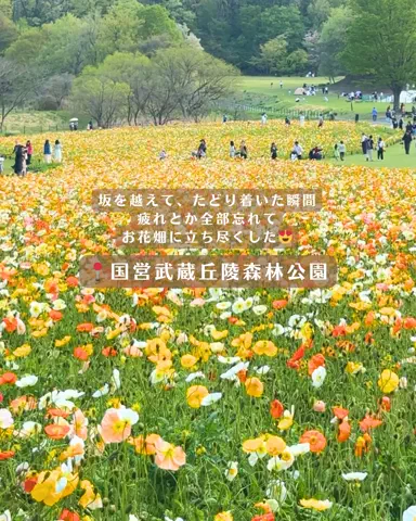 みぽ🌞心震える旅の記録のTikTok投稿