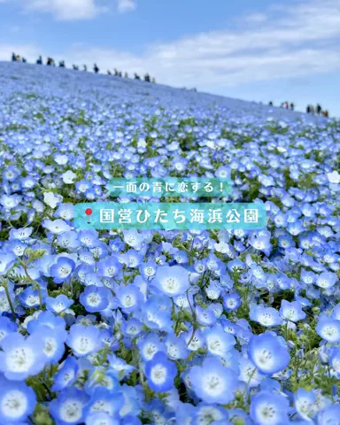 みぽ🌞心震える旅の記録のTikTok投稿