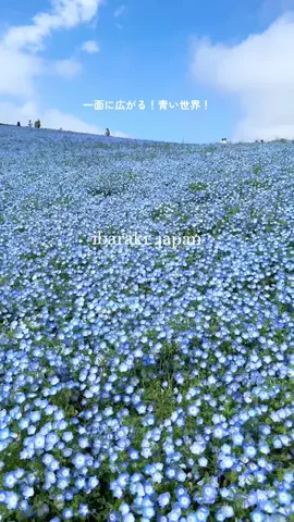 みぽ🌞心震える旅の記録のTikTok投稿