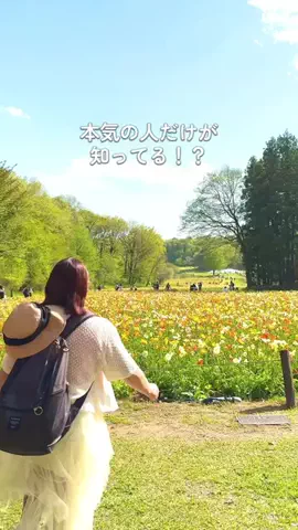 みぽ🌞心震える旅の記録のTikTok投稿