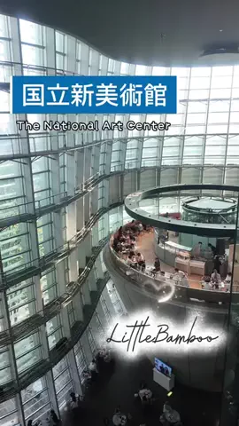 LittleBamboo.lsのTikTok投稿