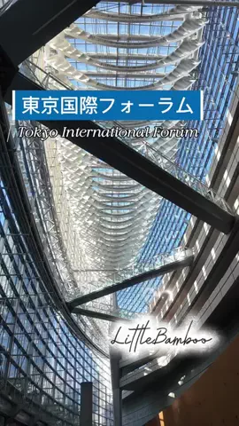 LittleBamboo.lsのTikTok投稿