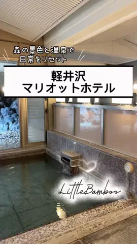 LittleBamboo.lsのTikTok投稿