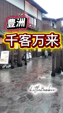 LittleBamboo.lsのTikTok投稿
