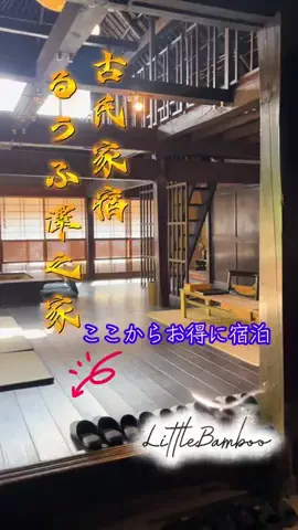 LittleBamboo.lsのTikTok投稿