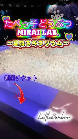 LittleBamboo.lsのTikTok投稿