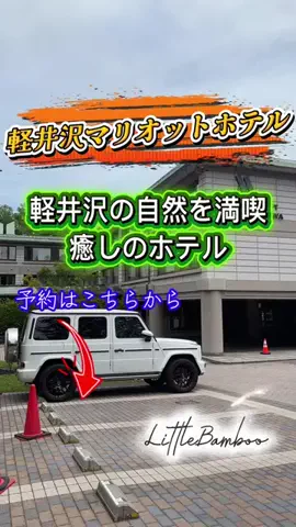LittleBamboo.lsのTikTok投稿