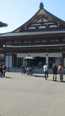 ma-ma-のTikTok投稿