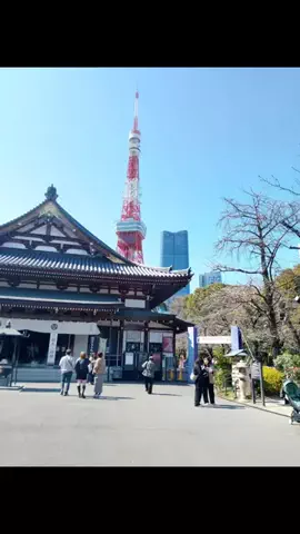 ma-ma-のTikTok投稿