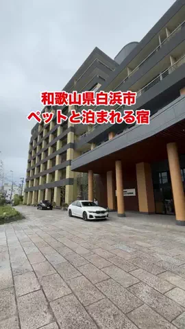 🔴ほんだら〜🔴のTikTok投稿